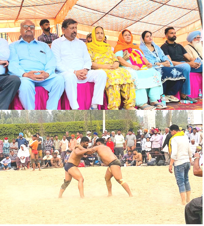 The residents of Chandiani Khurd held an annual Chinjh Mela